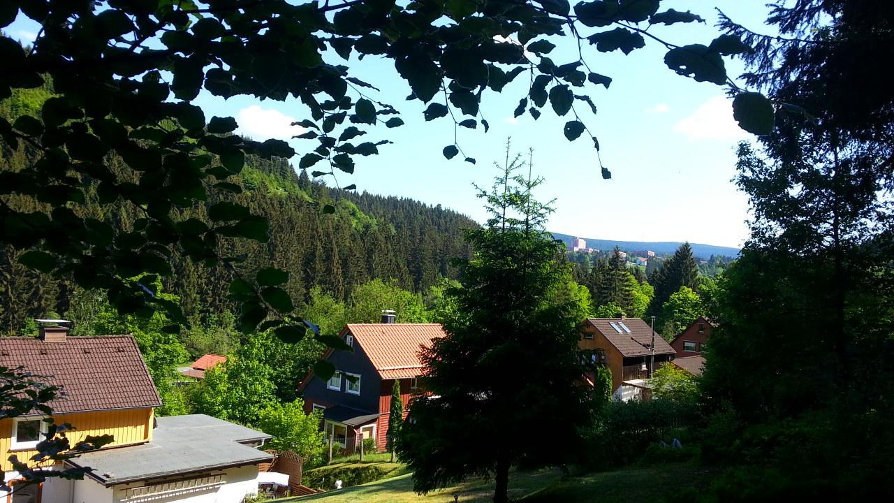 Haus Hexenbos Appartamento Goslar Esterno foto